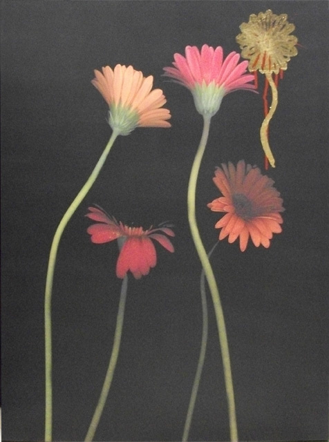 4Daisies on Stems Mono Leaf  - gold leaf embellished - 30" x 40" x 2"